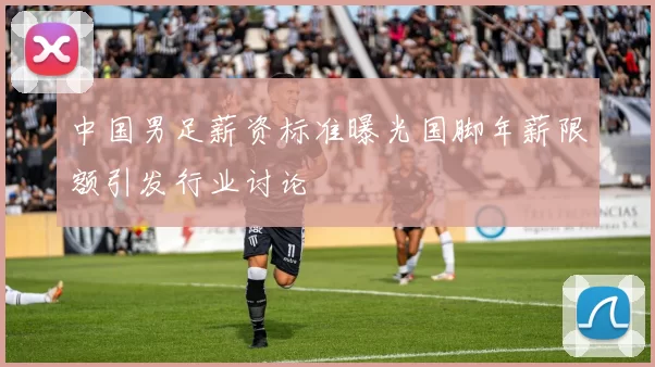 中国男足薪资标准曝光国脚年薪限额引发行业讨论