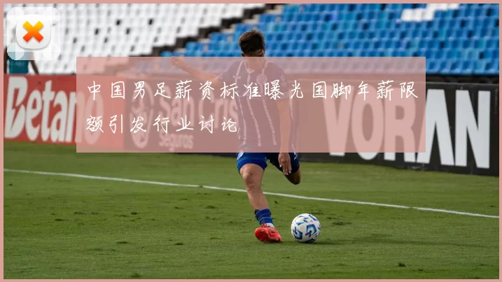中国男足薪资标准曝光国脚年薪限额引发行业讨论