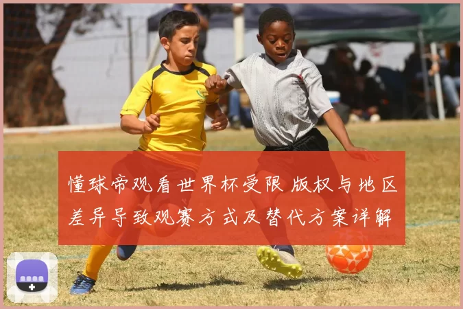 懂球帝观看世界杯受限 版权与地区差异导致观赛方式及替代方案详解