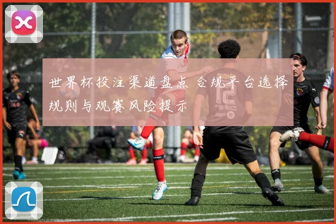 世界杯投注渠道盘点 合规平台选择规则与观赛风险提示