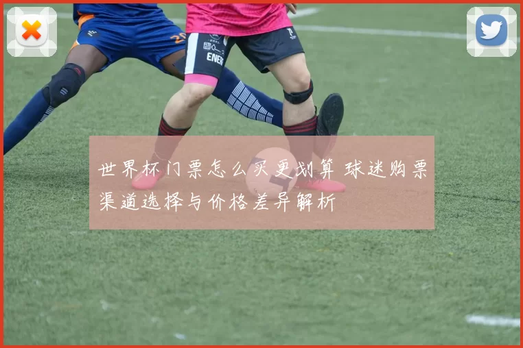 世界杯门票怎么买更划算 球迷购票渠道选择与价格差异解析
