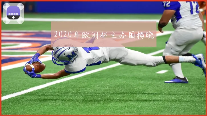 2020年欧洲杯主办国揭晓