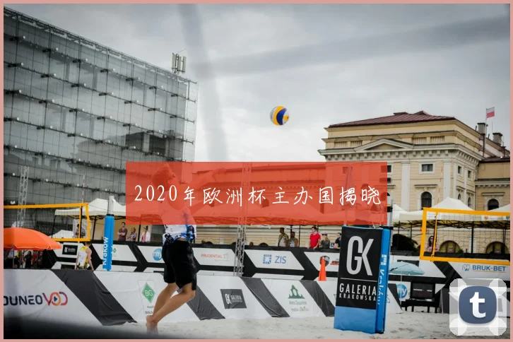 2020年欧洲杯主办国揭晓