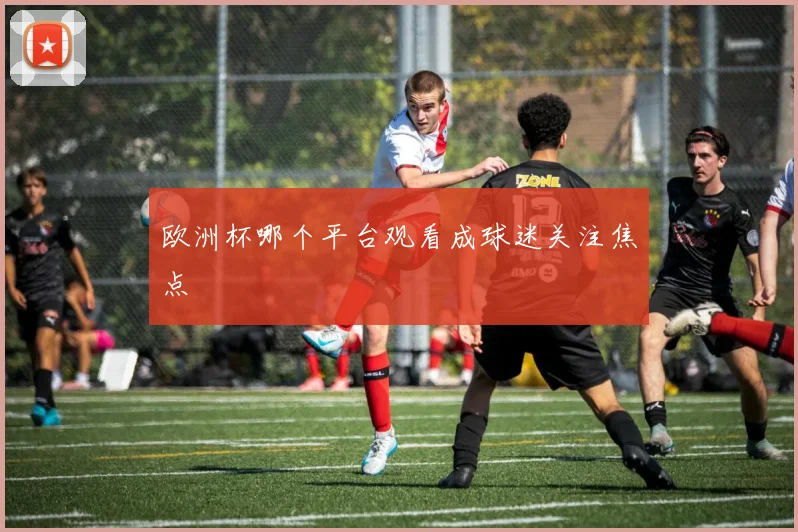 欧洲杯哪个平台观看成球迷关注焦点